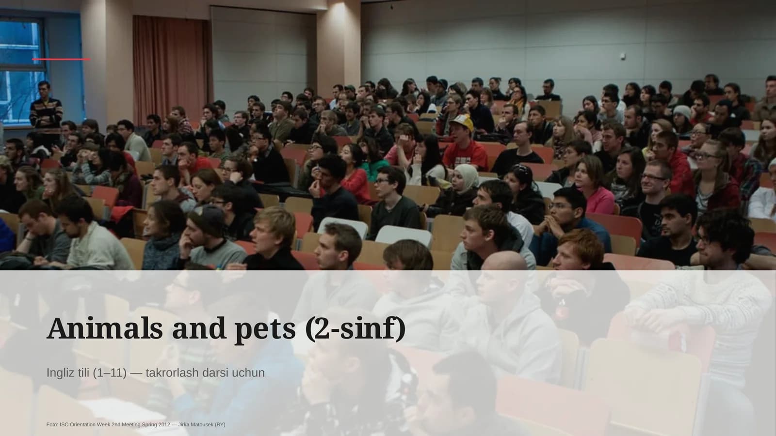 Animals and pets (2-sinf)