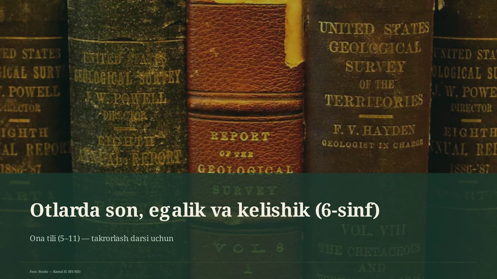 Otlarda son, egalik va kelishik (6-sinf)