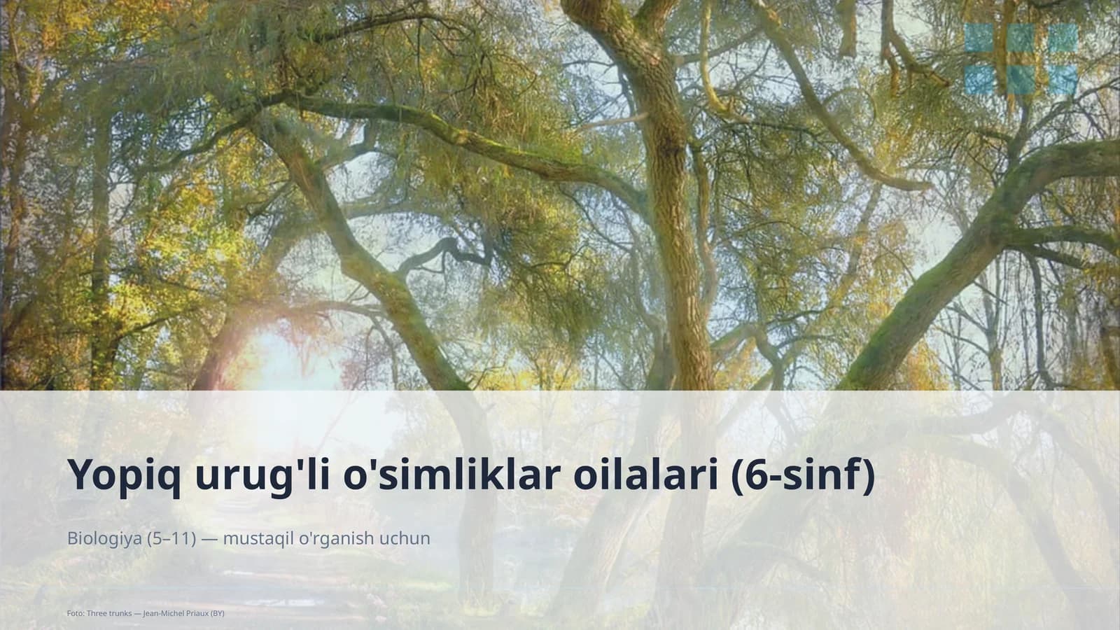 Yopiq urug'li o'simliklar oilalari (6-sinf)