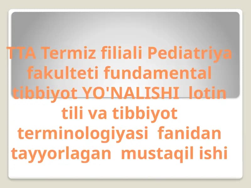 Professional tillar va ularning milliy tilda asosiy xususiyatlari. Ibn Sino Yevropa olimlari talqinida.