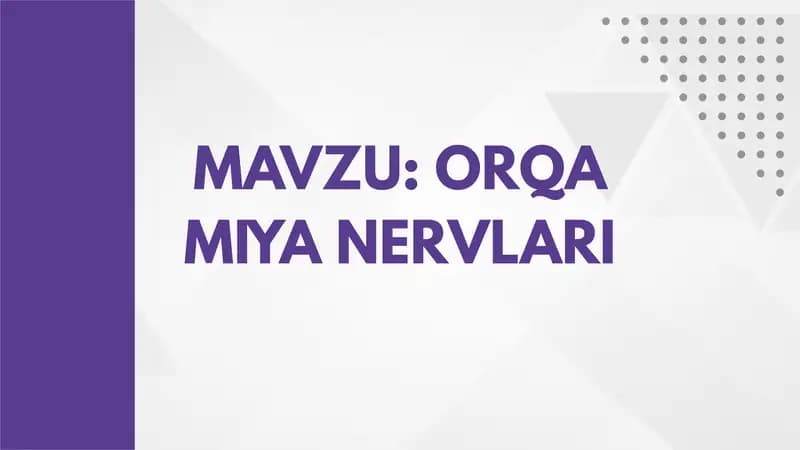 ORQA MIYA NERVLARI