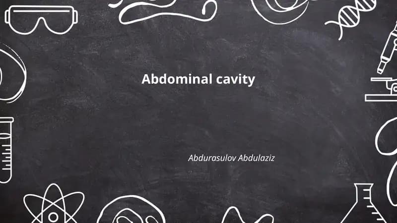 Abdominal cavity
