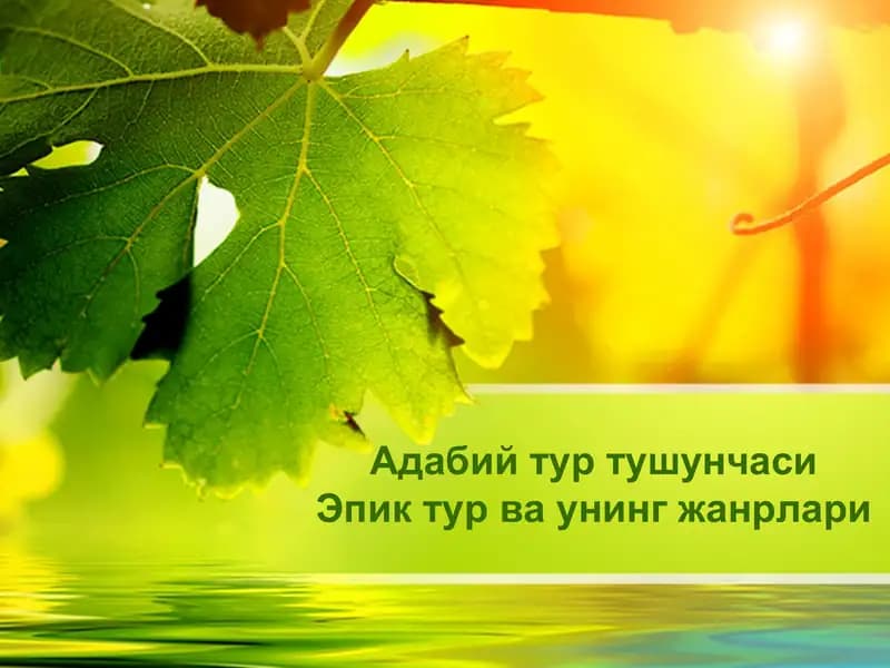 Адабий тур тушунчаси