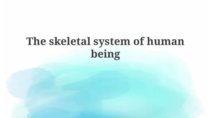 The skeletal system of human being