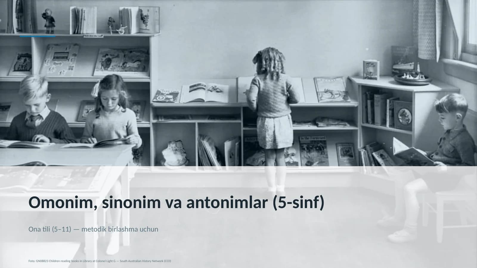 Omonim, sinonim va antonimlar (5-sinf)