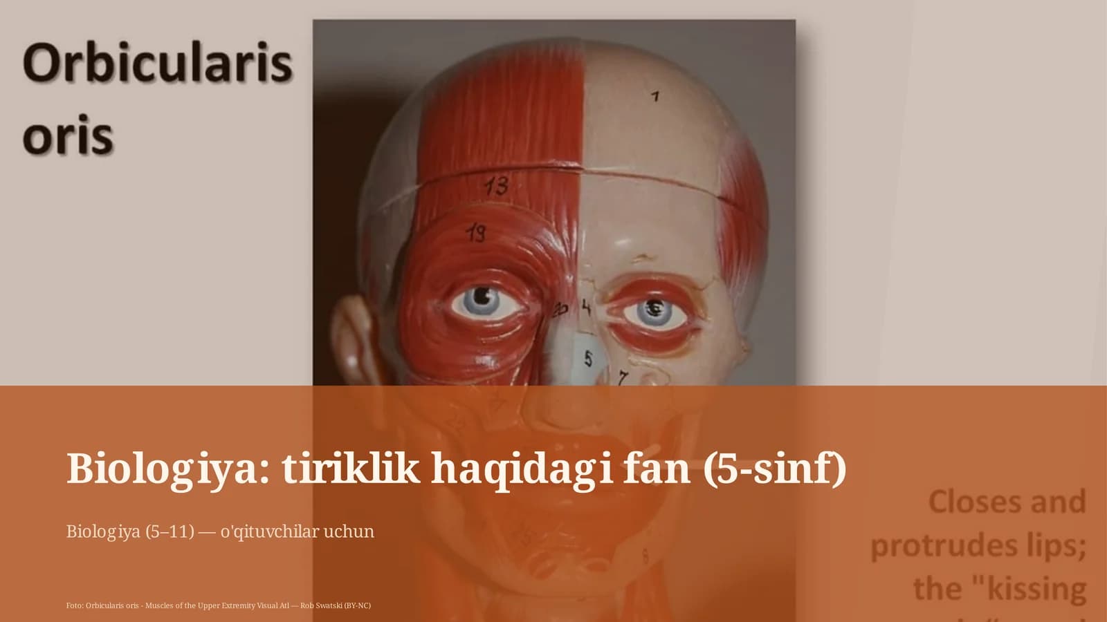 Biologiya: tiriklik haqidagi fan (5-sinf)