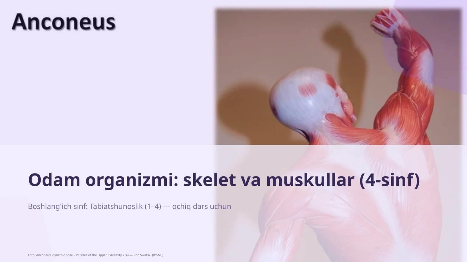 Odam organizmi: skelet va muskullar (4-sinf)
