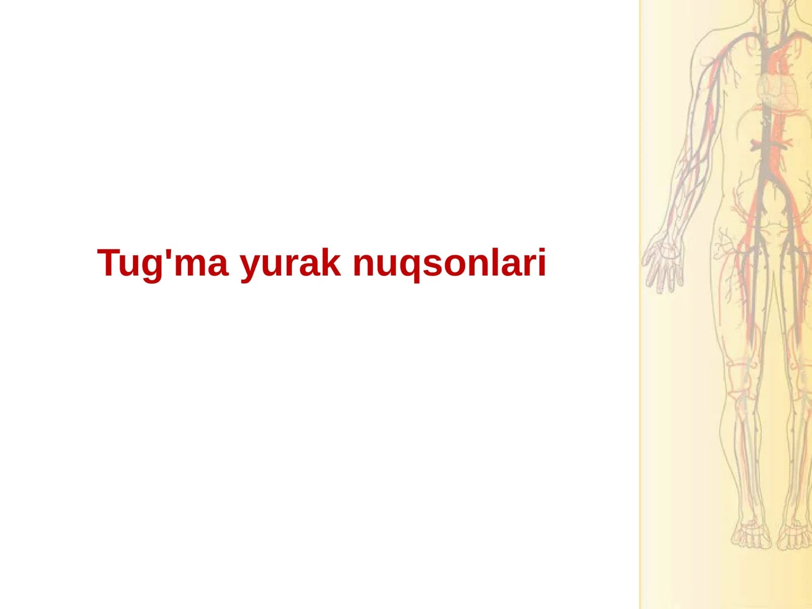 Tug'ma yurak nuqsonlar