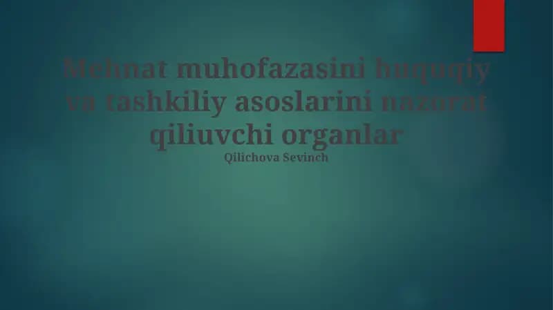 Mehnat muhofazasini huquqiy va tashkiliy asoslarini nazorat qiliuvchi organlar