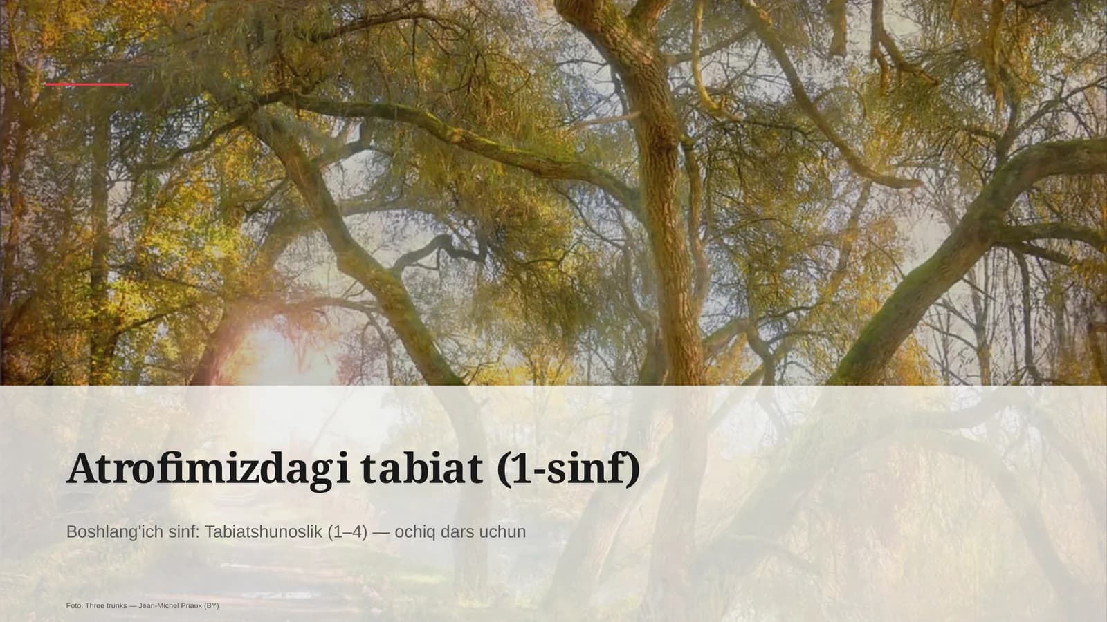 Atrofimizdagi tabiat (1-sinf)