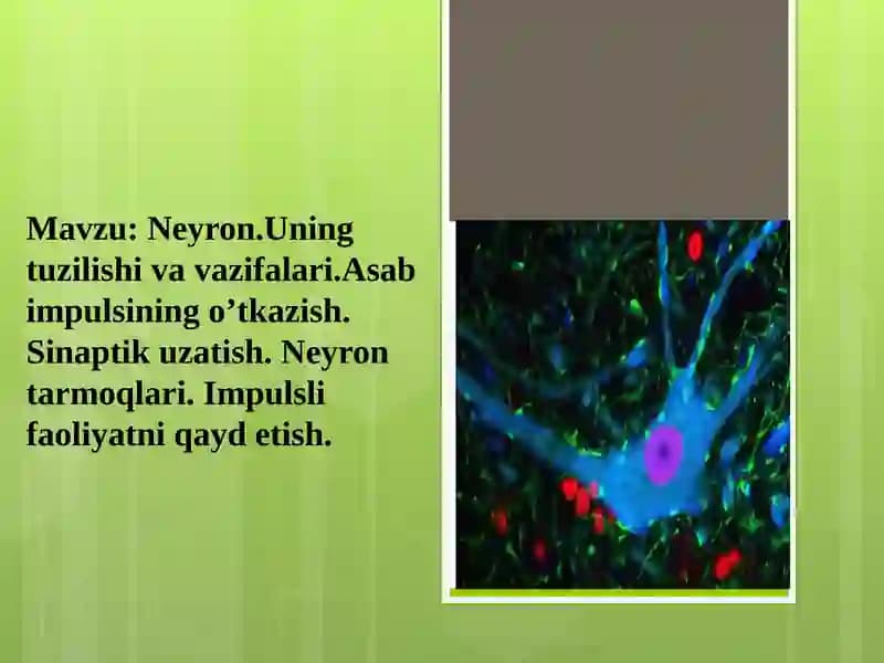 Neyron