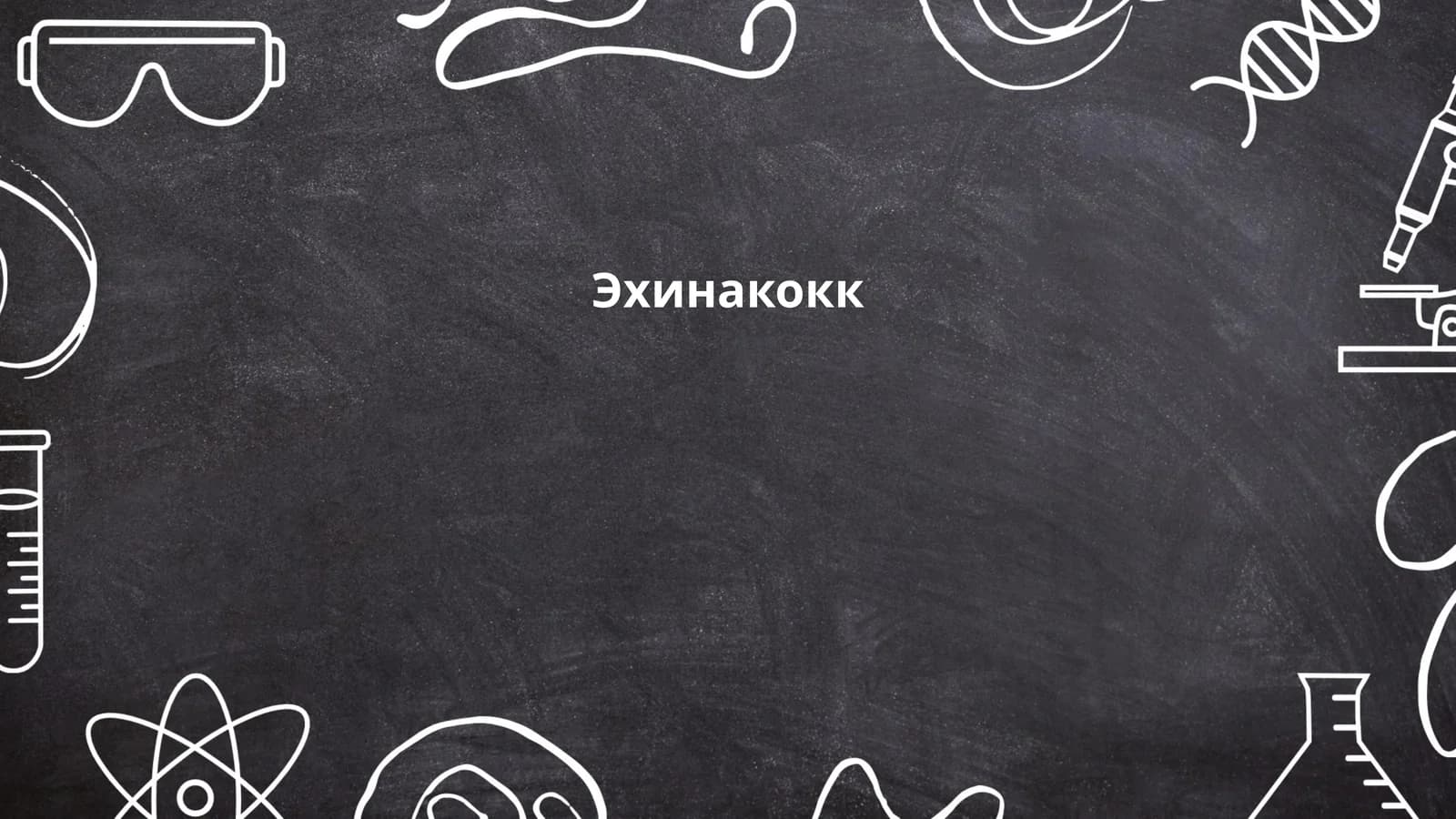 Эхинакокк