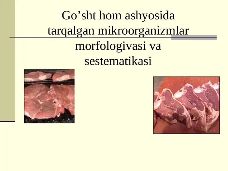 Go’sht hom ashyosida tarqalgan mikroorganizmlar morfologivasi va sestematikasi