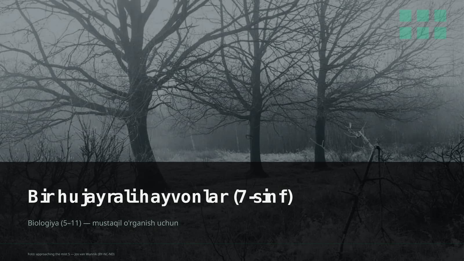 Bir hujayrali hayvonlar (7-sinf)