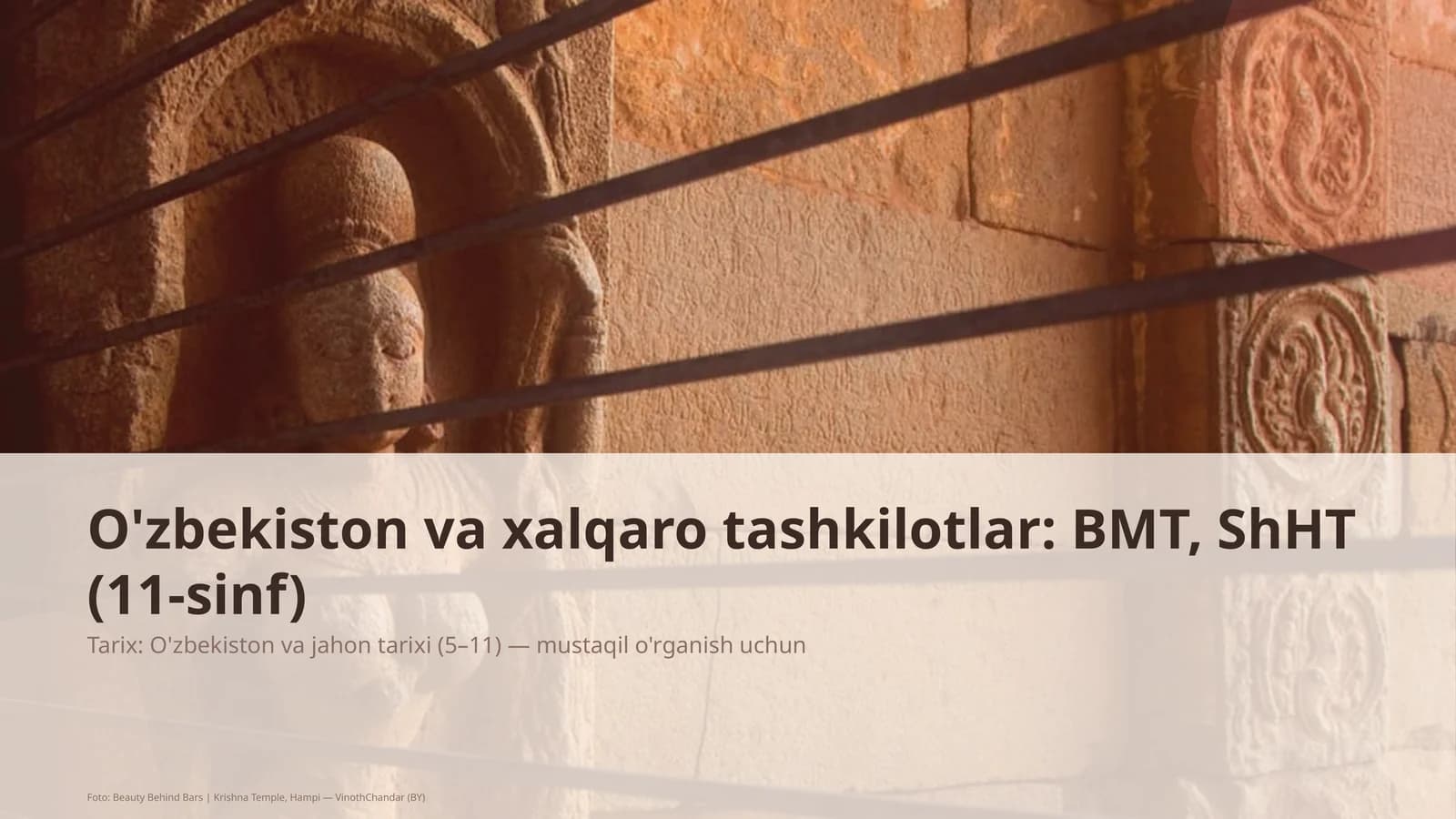 O'zbekiston va xalqaro tashkilotlar: BMT, ShHT (11-sinf)