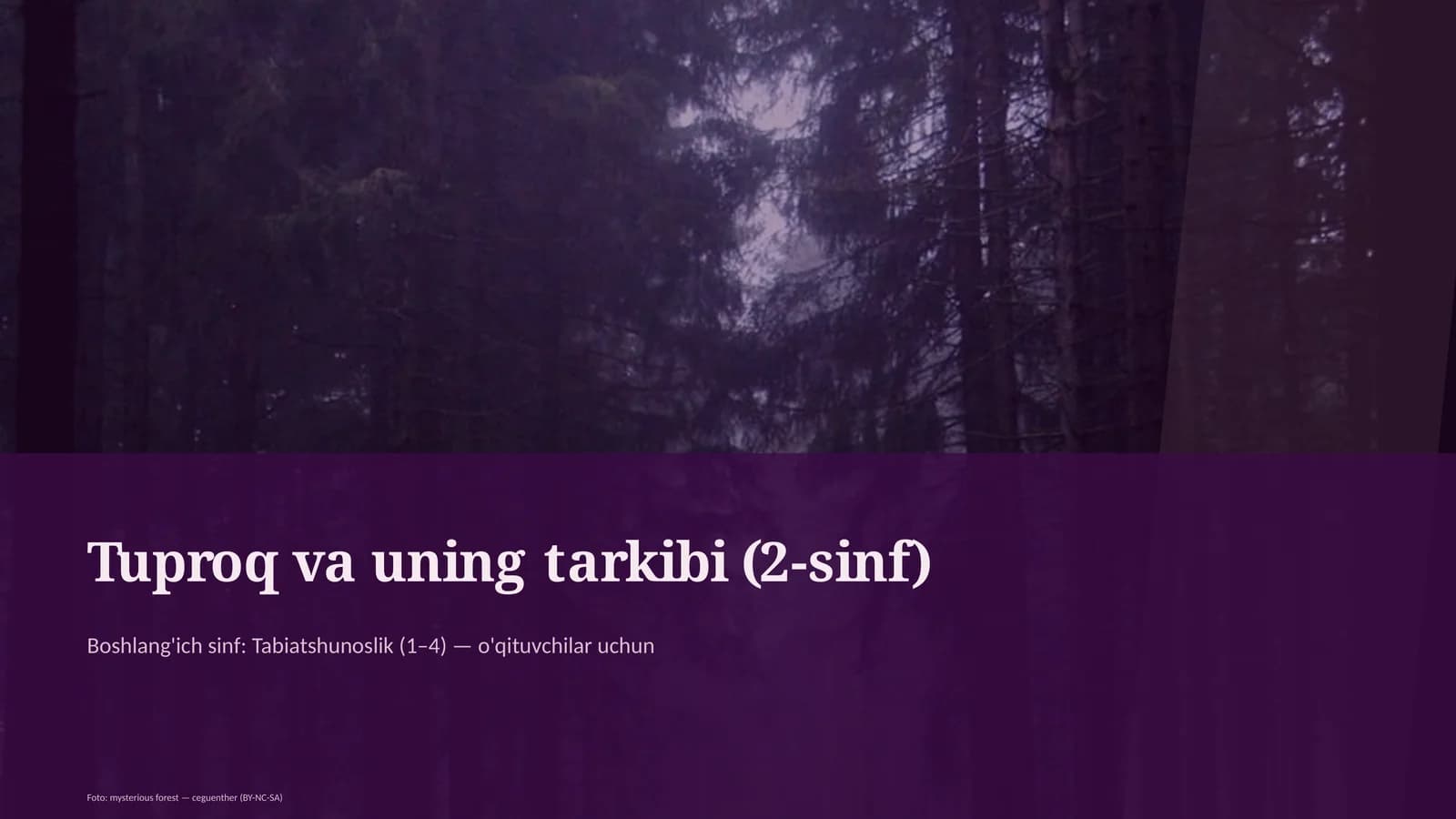 Tuproq va uning tarkibi (2-sinf)
