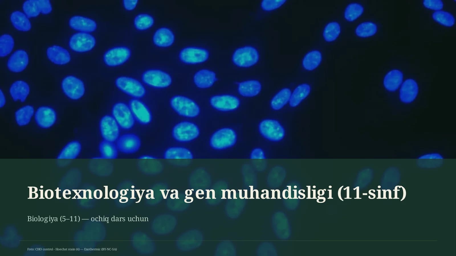 Biotexnologiya va gen muhandisligi (11-sinf)