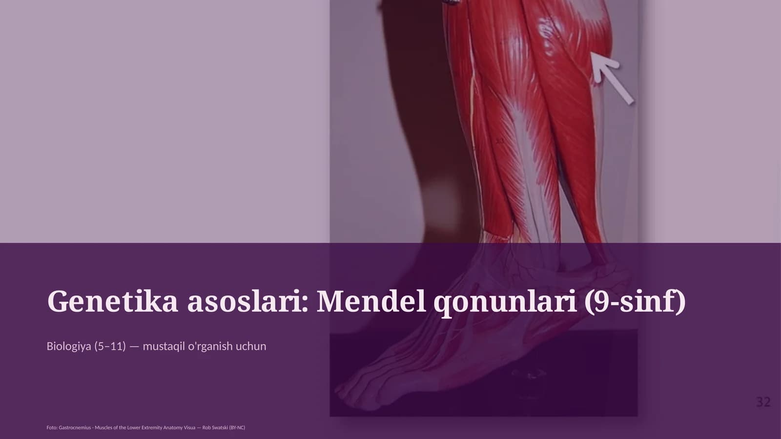 Genetika asoslari: Mendel qonunlari (9-sinf)