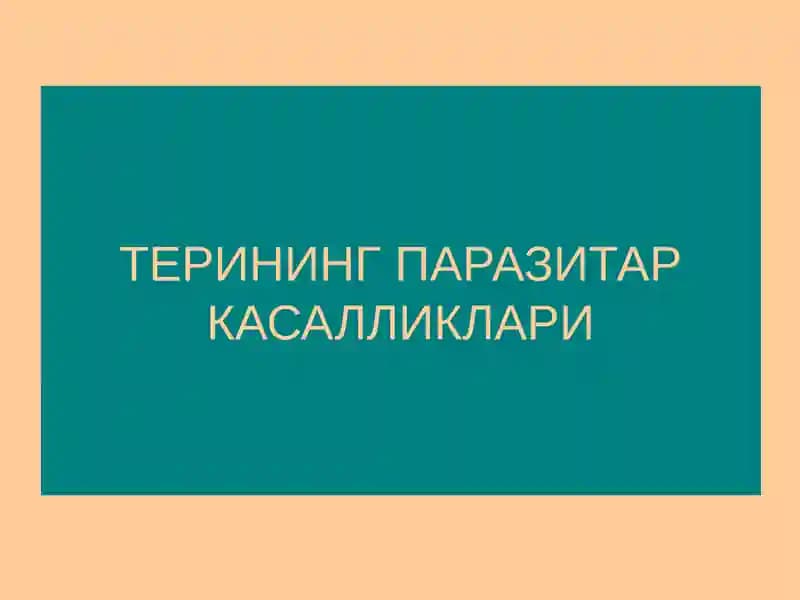 Терининг Паразитар Касалликлари