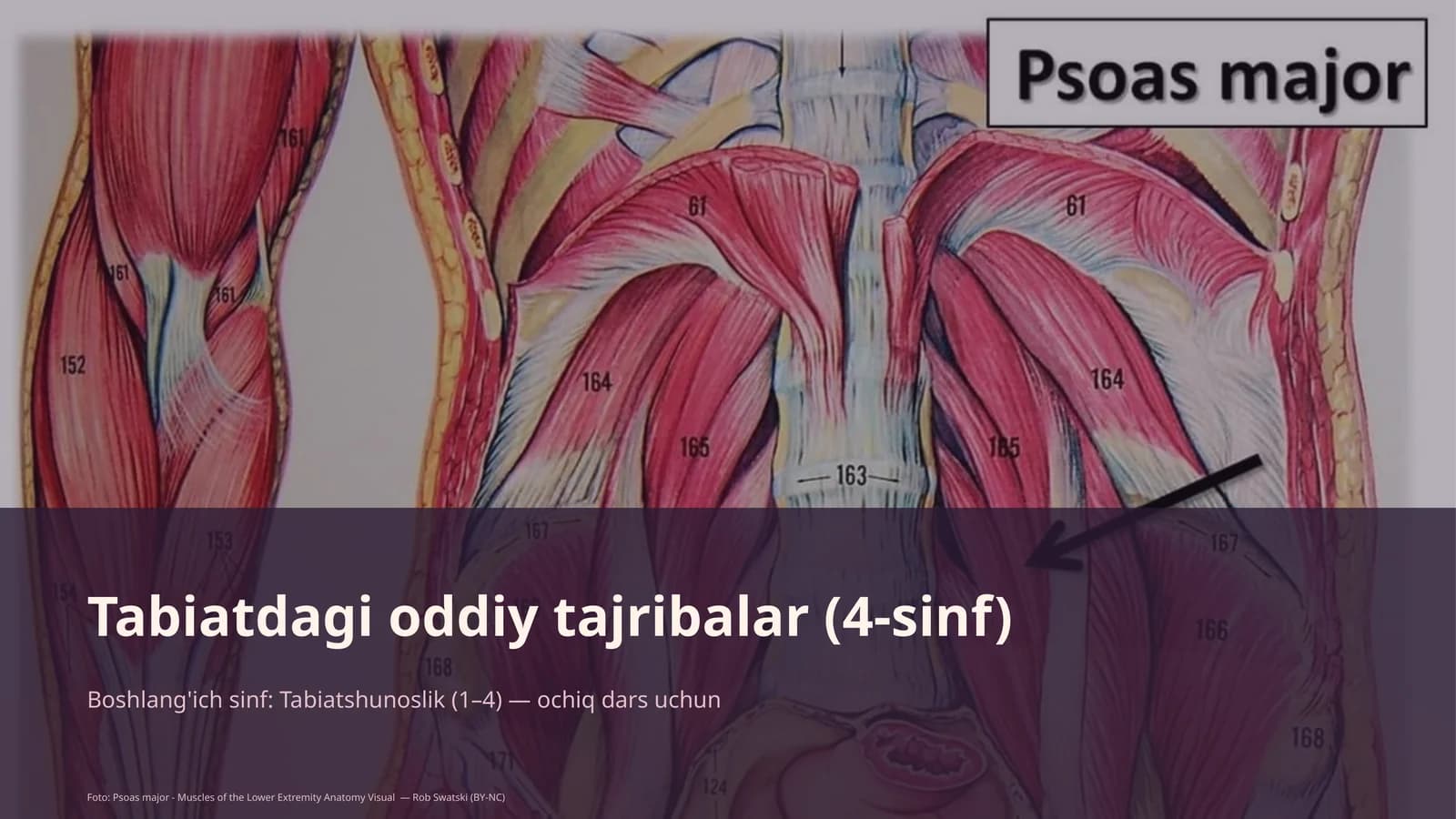 Tabiatdagi oddiy tajribalar (4-sinf)