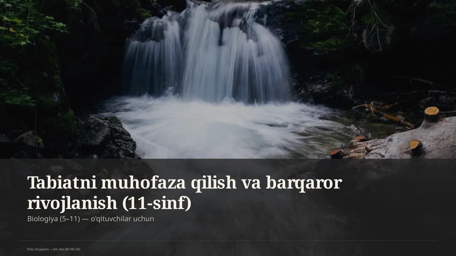 Tabiatni muhofaza qilish va barqaror rivojlanish (11-sinf)