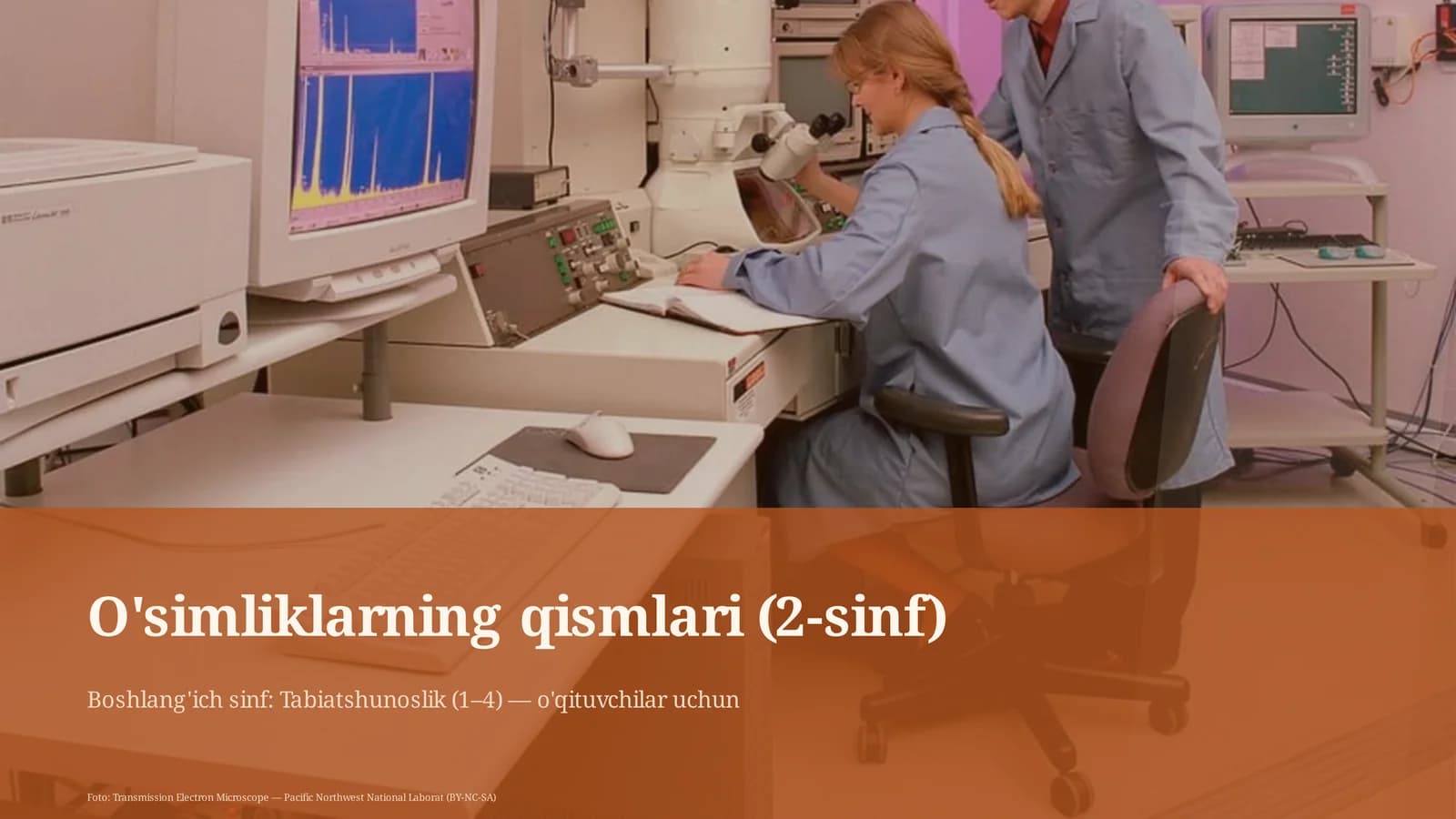 O'simliklarning qismlari (2-sinf)