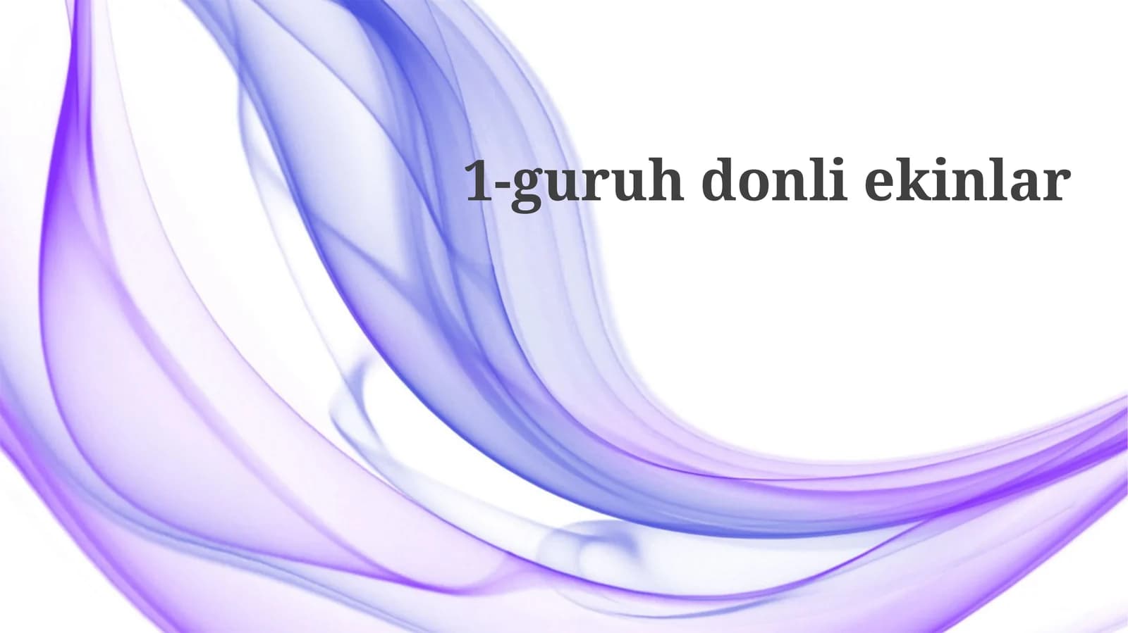 Yangi Don Mahsulotlari