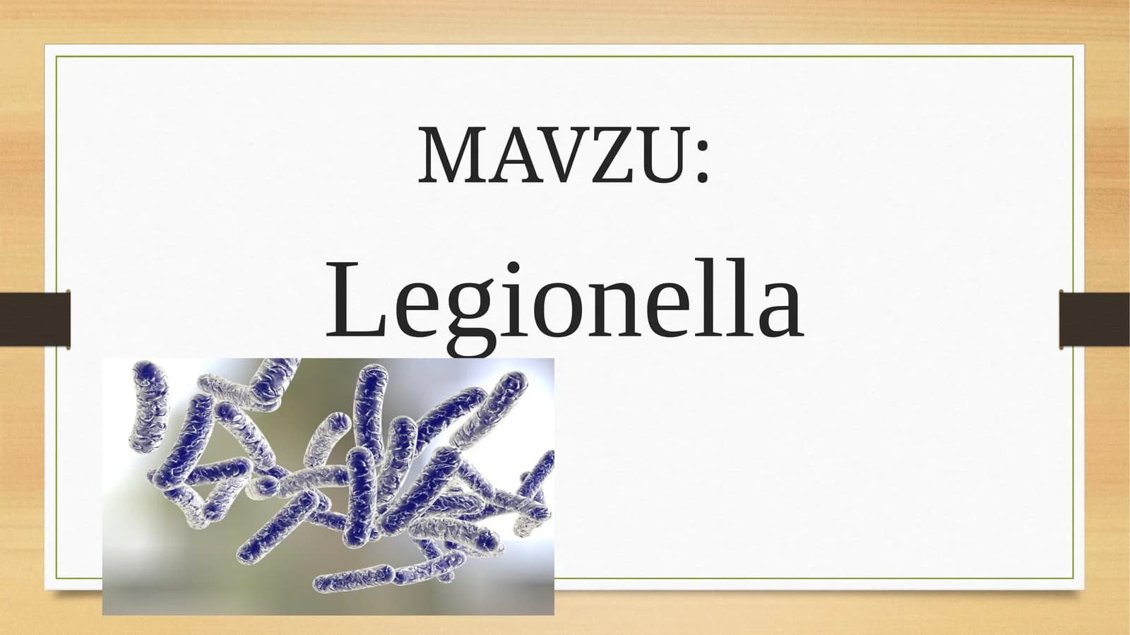 Legionellalar