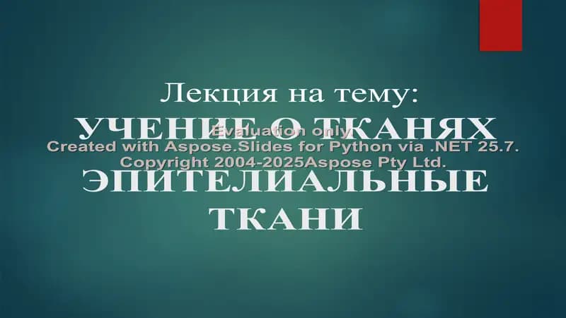 УЧЕНИЕ О ТКАНЯХ