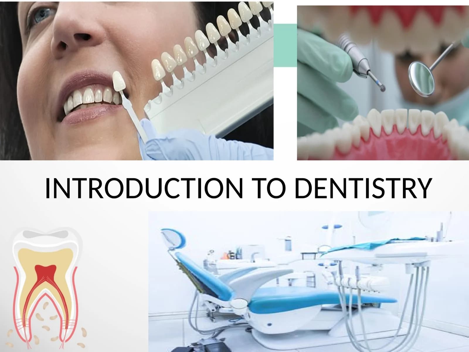INTRODUCTION TO DENTISTRY
