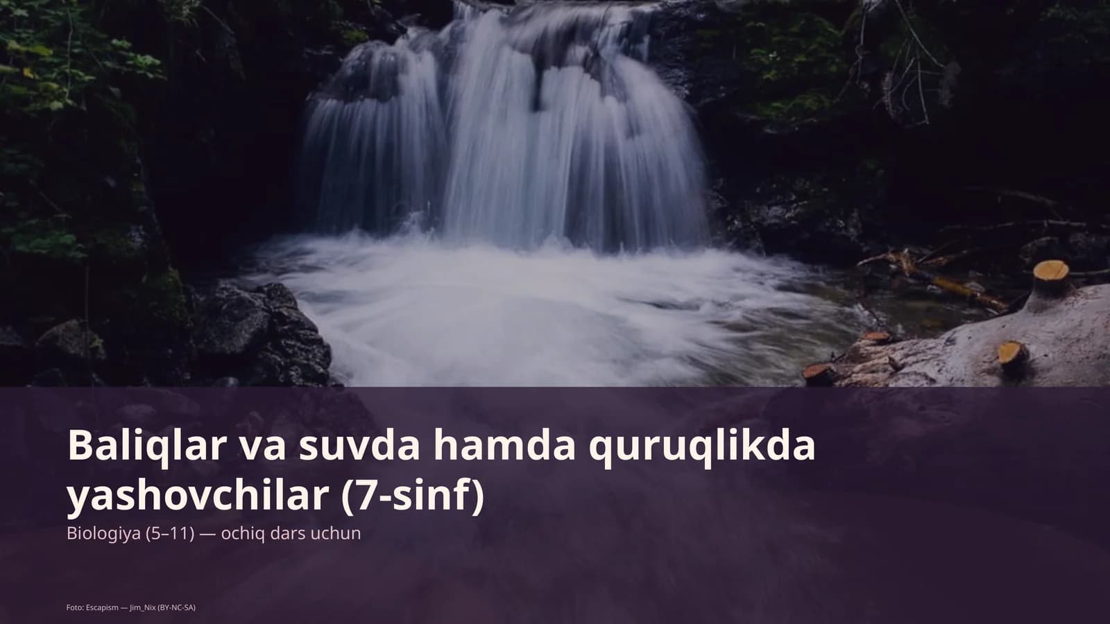Baliqlar va suvda hamda quruqlikda yashovchilar (7-sinf)