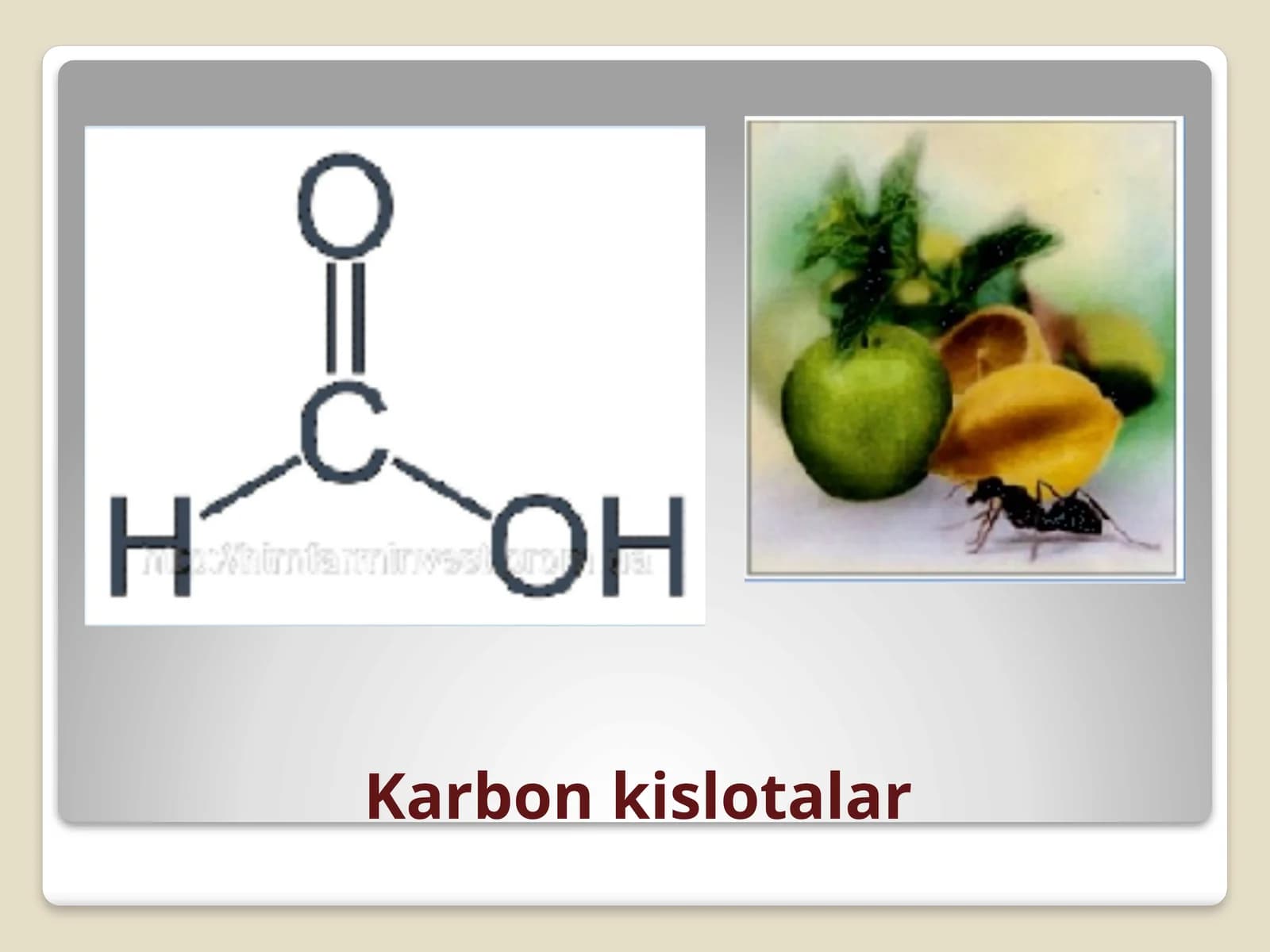Karbon kislotalar