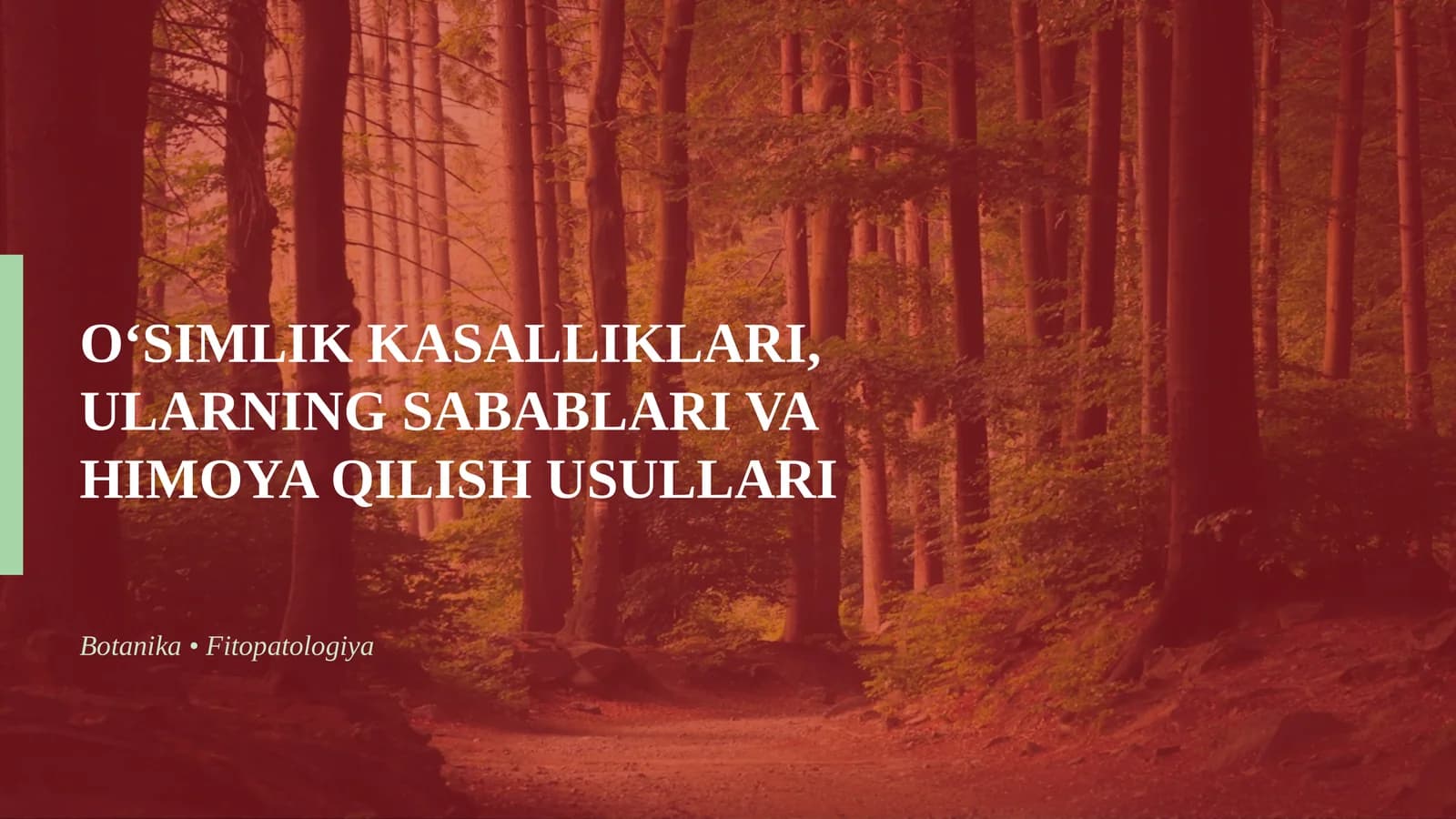 O‘SIMLIK KASALLIKLARI, ULARNING SABABLARI VA HIMOYA QILISH USULLARI