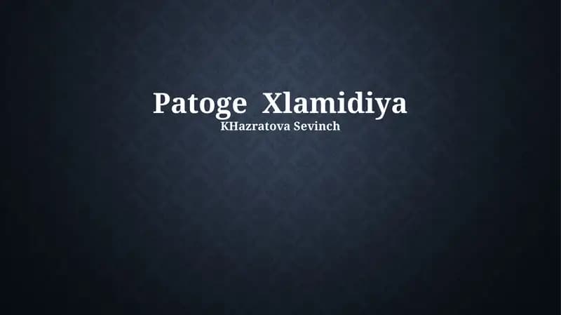 Patoge Xlamidiya