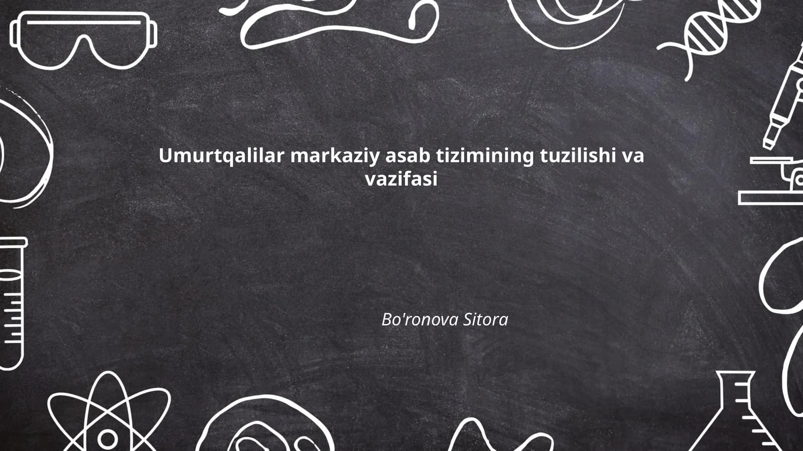 Umurtqalilar markaziy asab tizimining tuzilishi va vazifasi