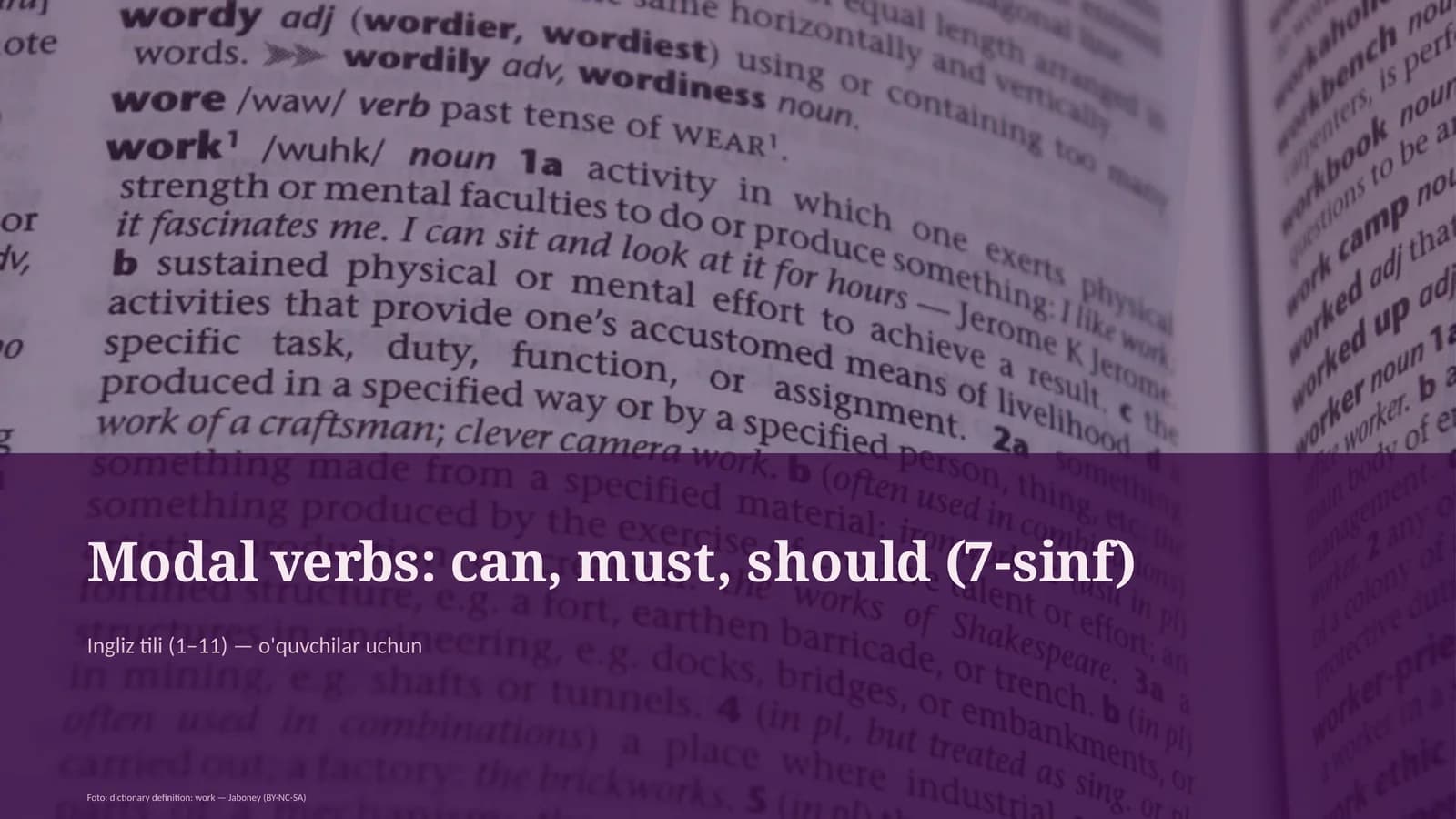 Modal verbs: can, must, should (7-sinf)