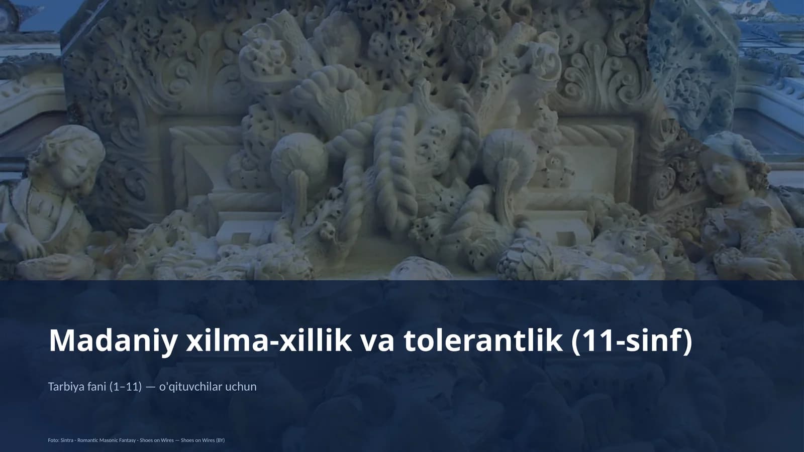 Madaniy xilma-xillik va tolerantlik (11-sinf)