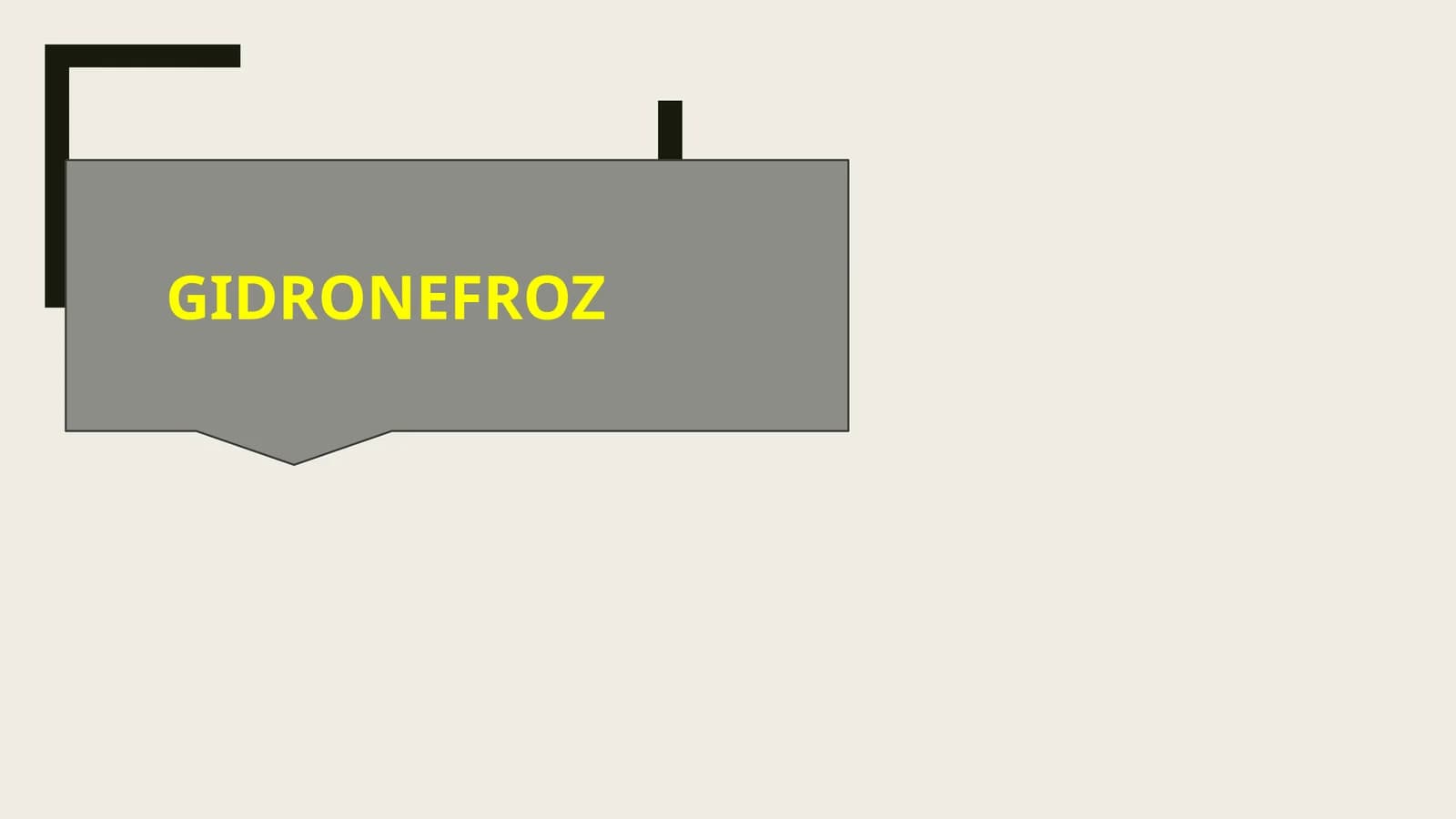 Gidronefroz