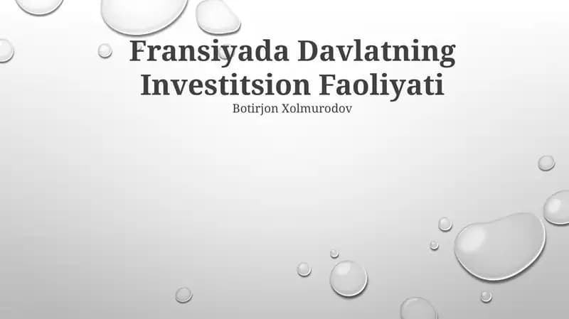 Fransiyada Davlatning Investitsion Faoliyati