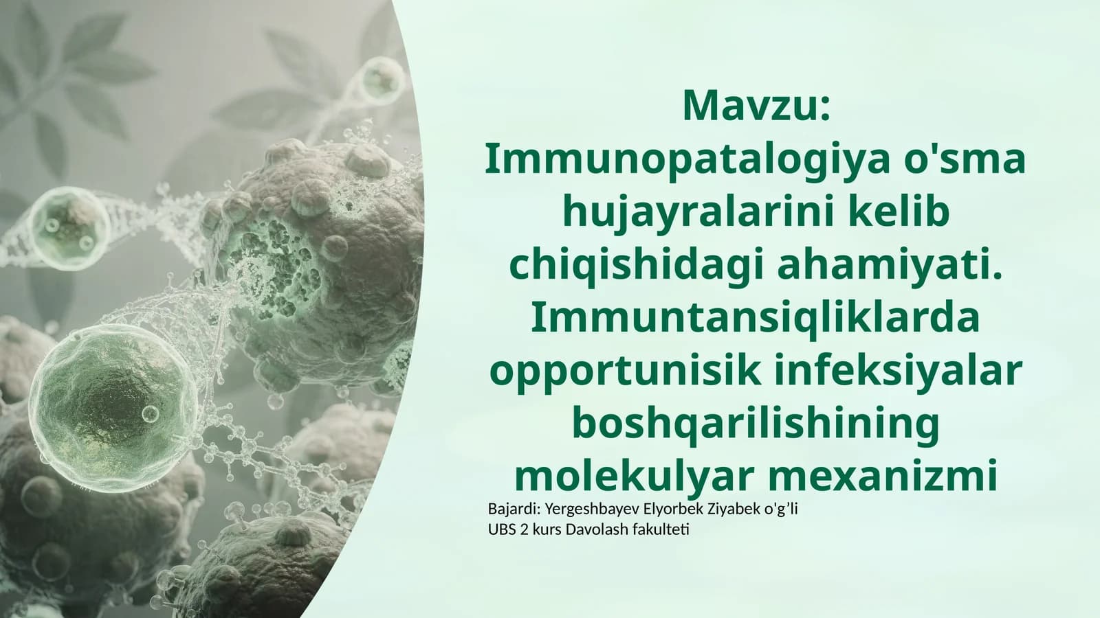 Immunopatologiya Tushunchasi va O'sma Hujayralari