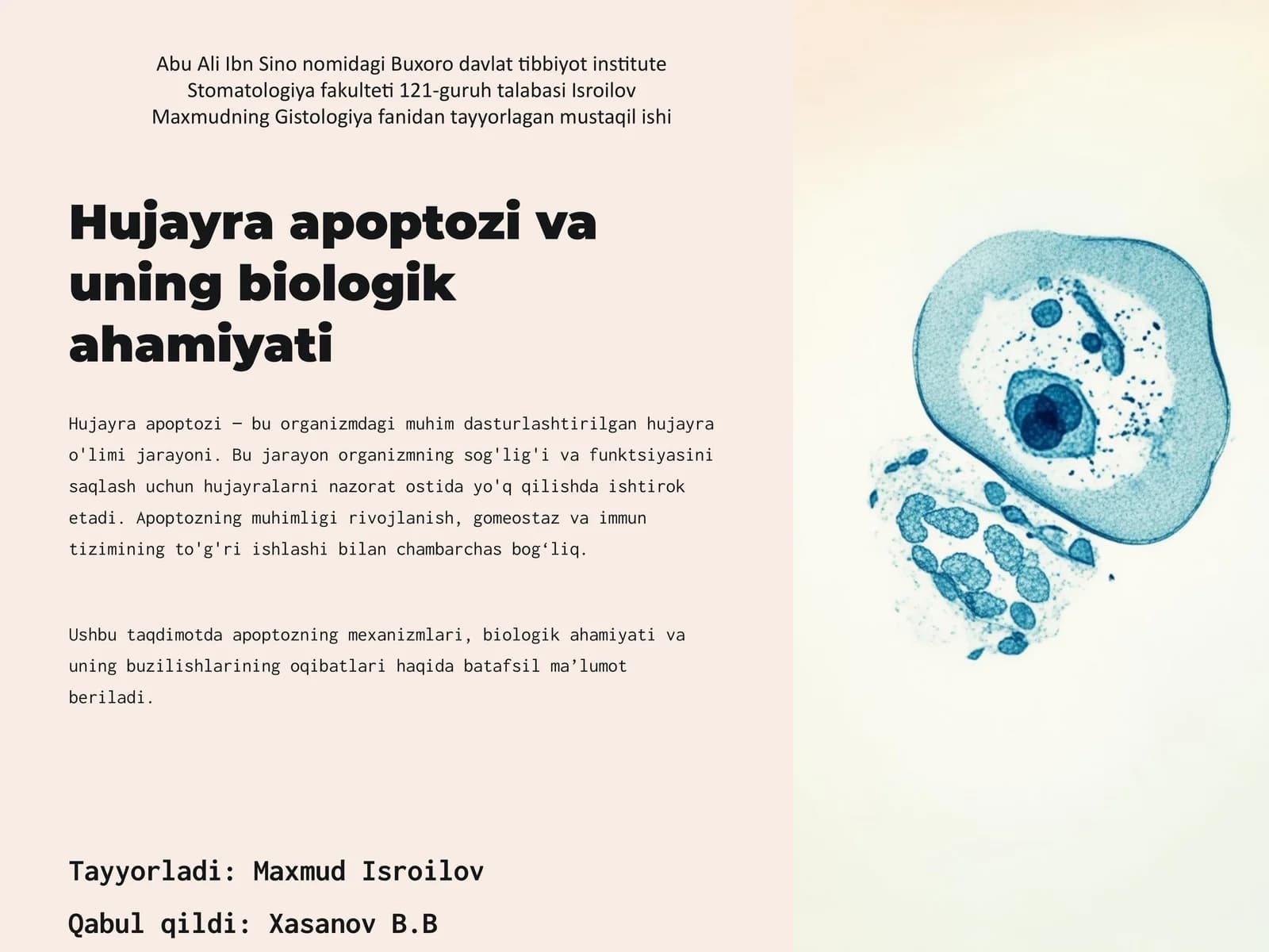 Hujayra apoptozi va uning biologik ahamiyati