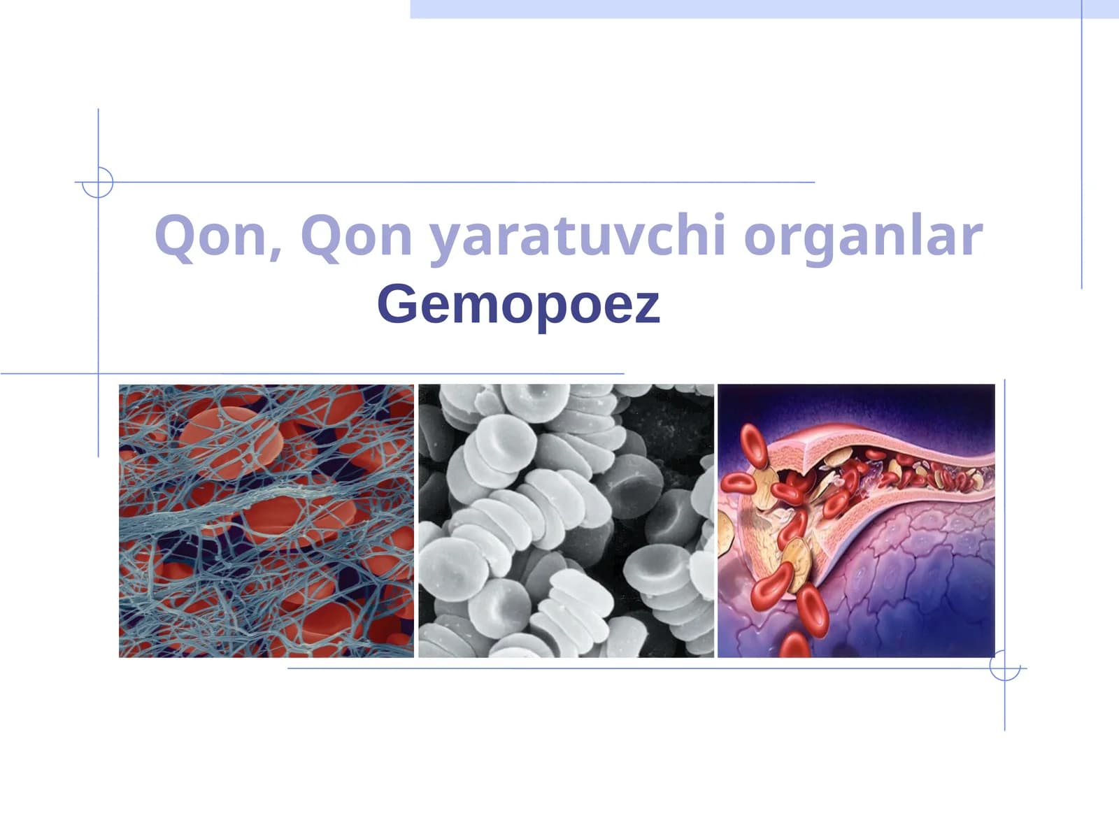 Gemopoez