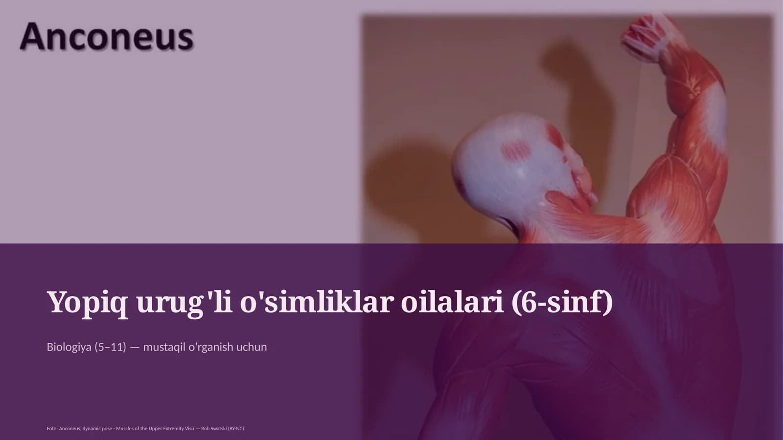 Yopiq urug'li o'simliklar oilalari (6-sinf)