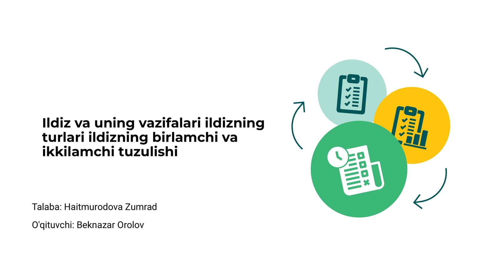 Ildiz va uning vazifalari