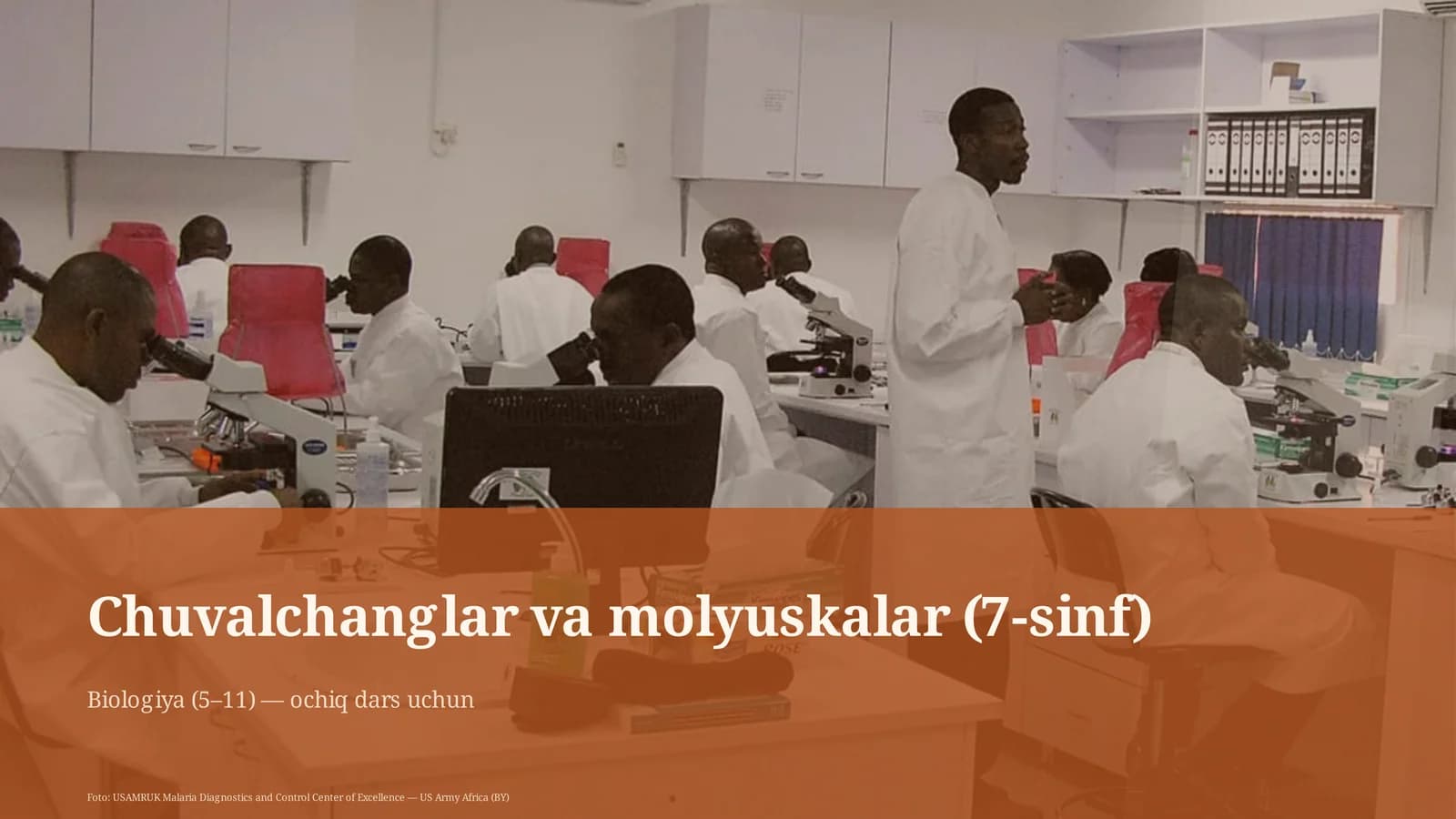 Chuvalchanglar va molyuskalar (7-sinf)
