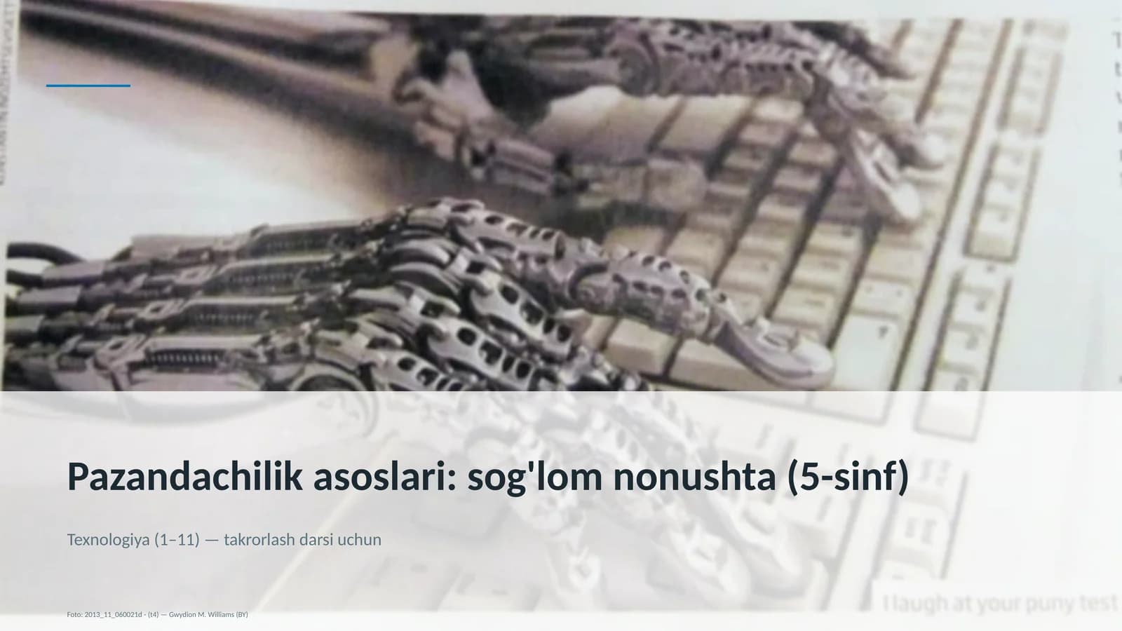 Pazandachilik asoslari: sog'lom nonushta (5-sinf)