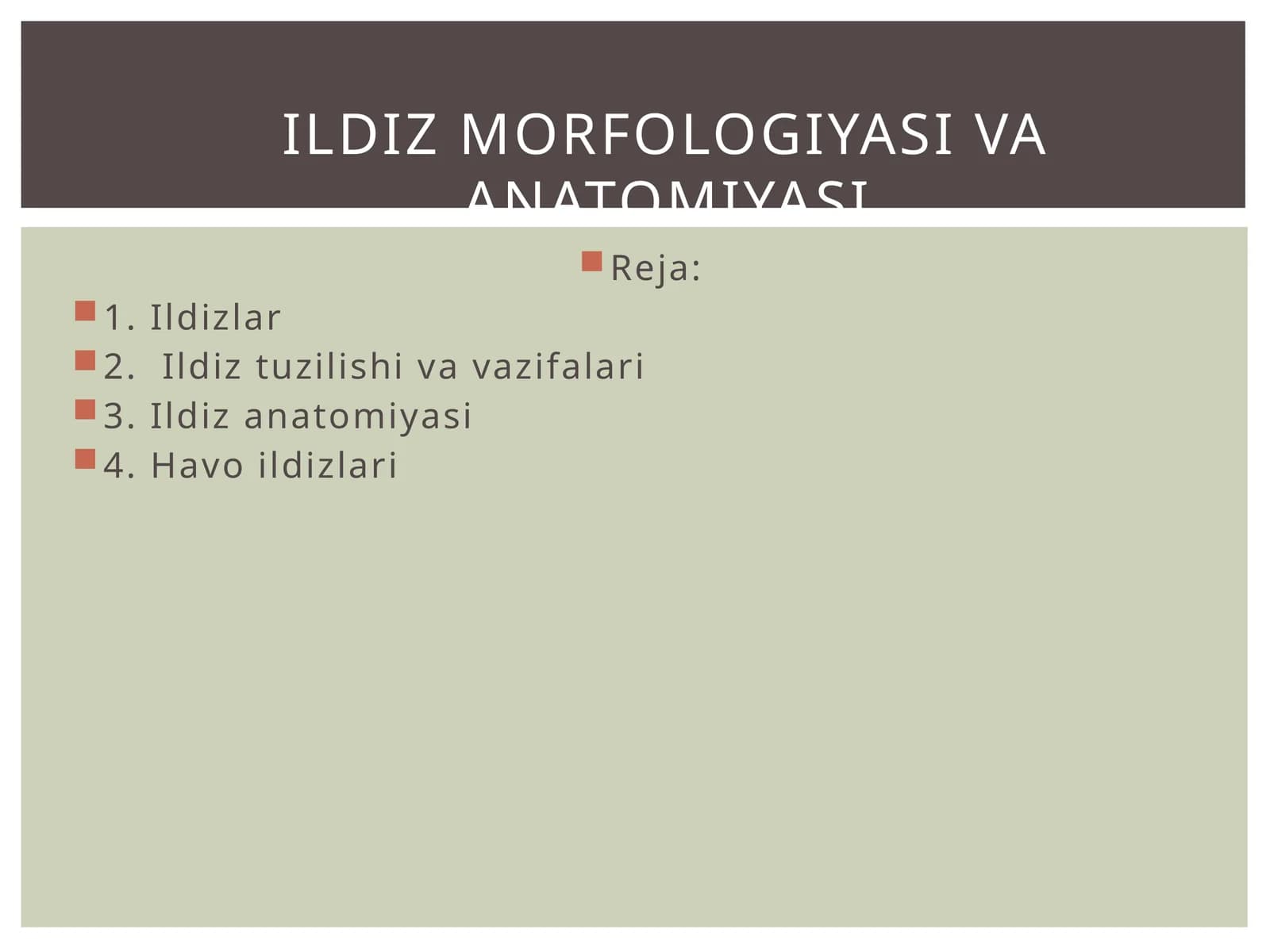 Ildiz anatomiyasi