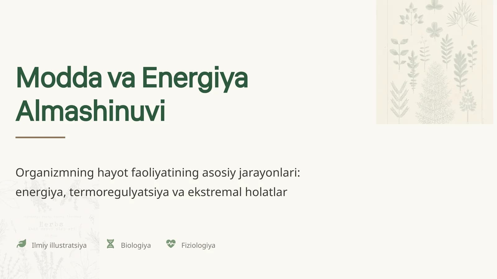 Modda va Energiya