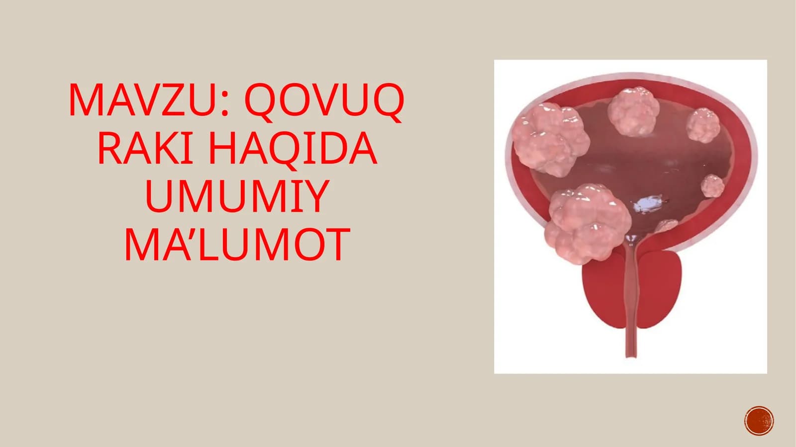 Qovuq raki haqida umumiy ma’lumot