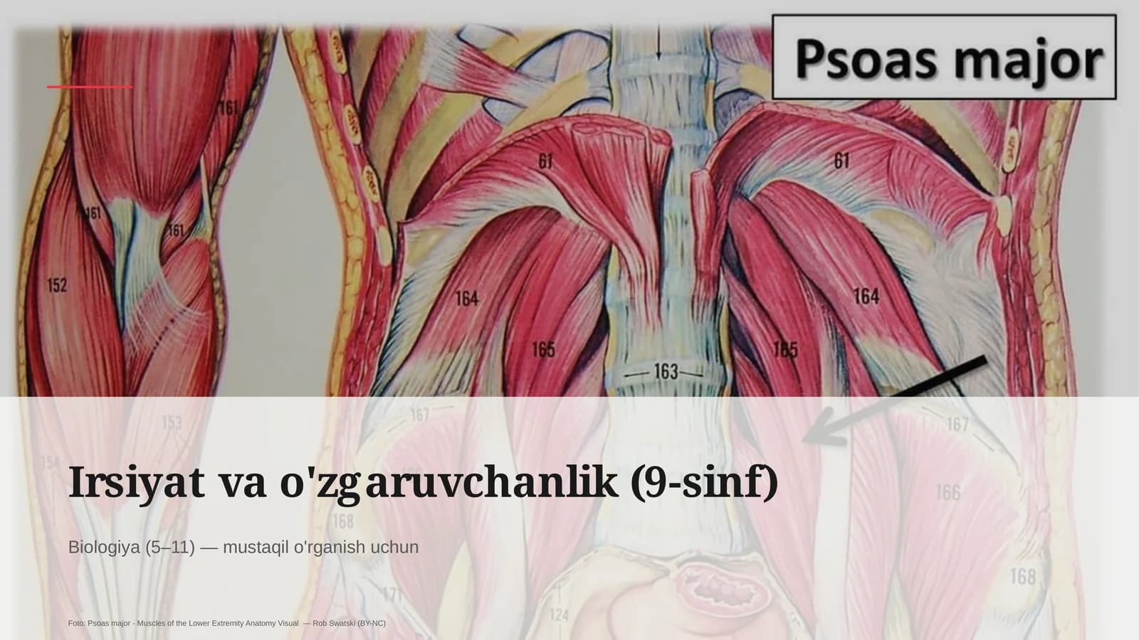 Irsiyat va o'zgaruvchanlik (9-sinf)